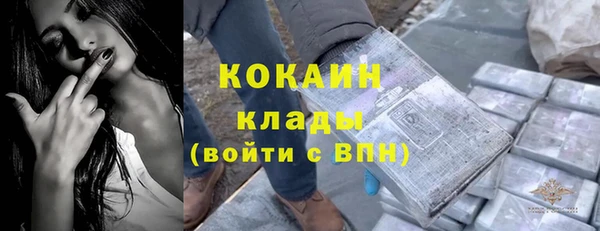 молекула духа Приозерск