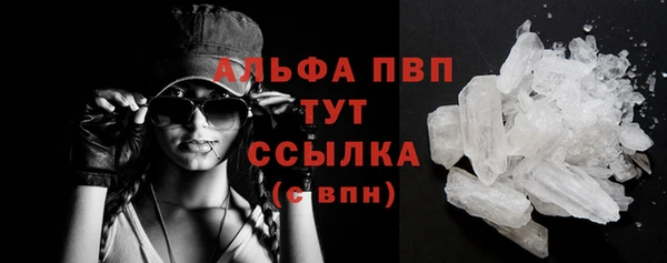 молекула духа Приозерск