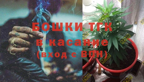 молекула духа Приозерск