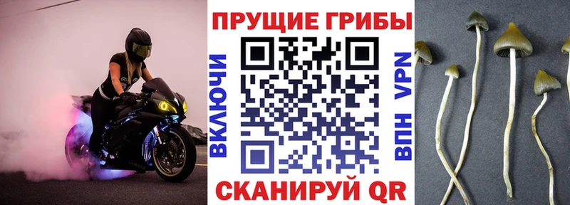 наркотики  Старый Крым  OMG зеркало  Галлюциногенные грибы мицелий 